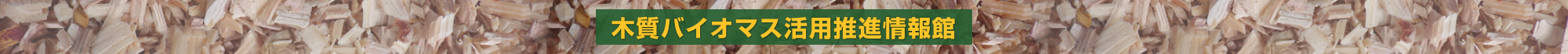 木質バイオマス活用推進情報館